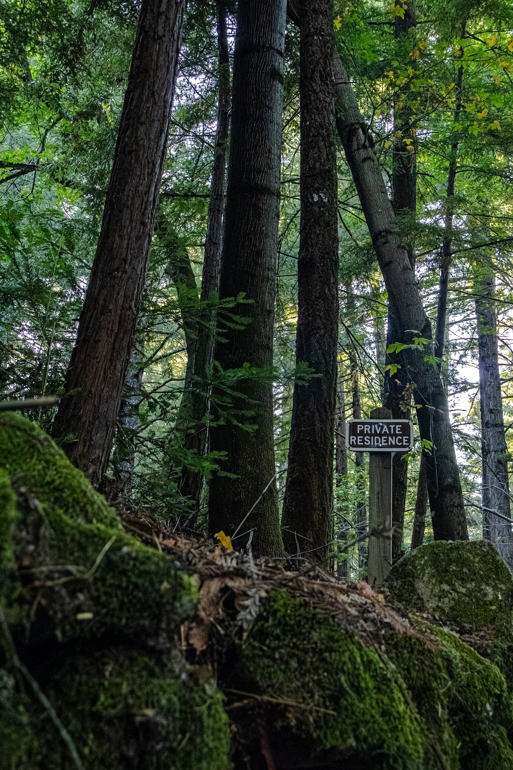 Storytelling photograph 391