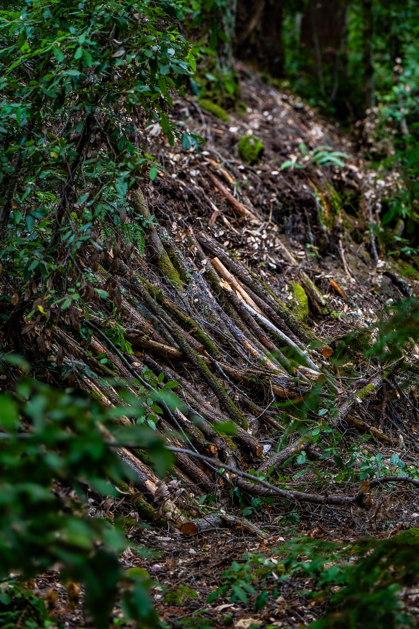 Handbuilt Refuge