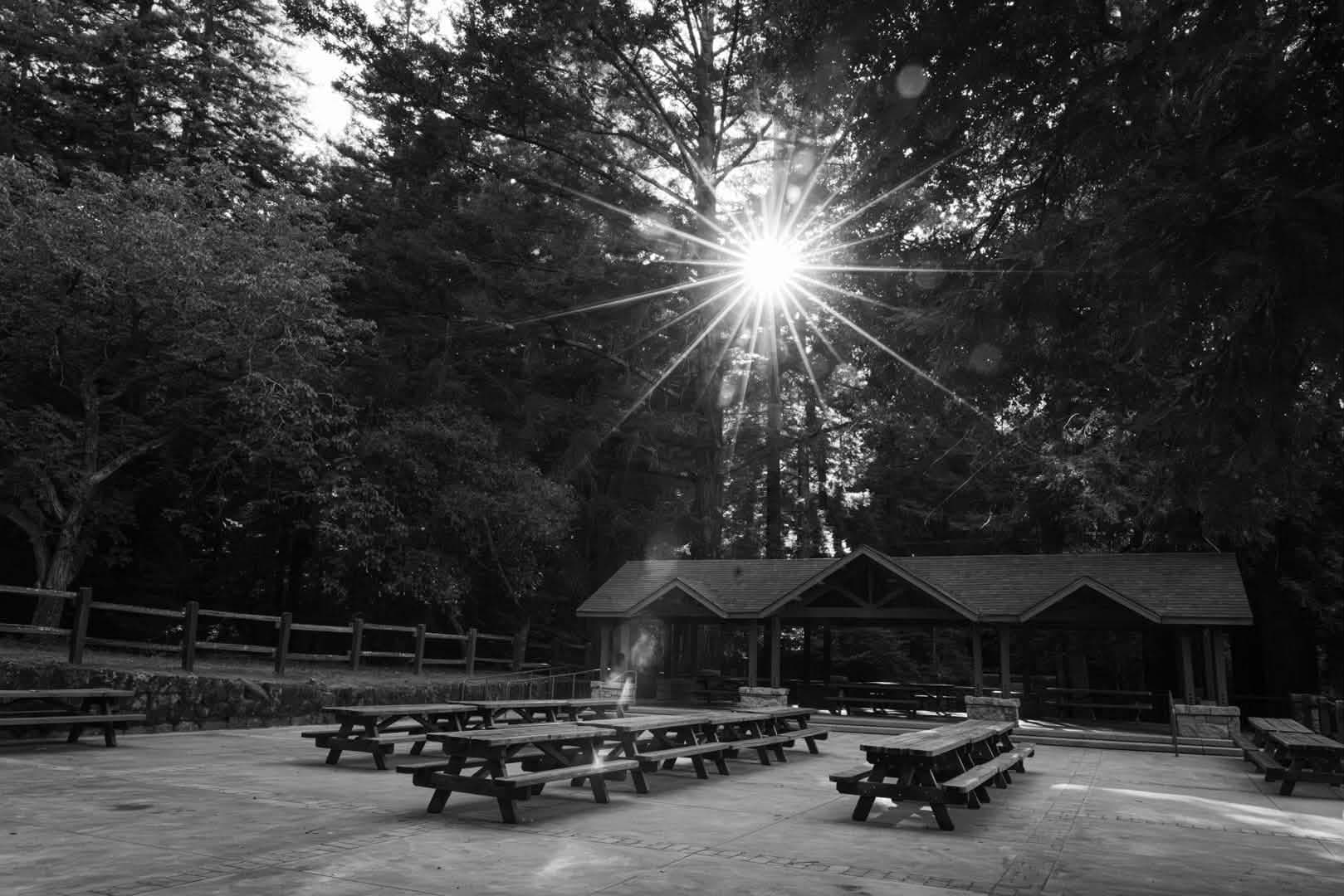 Storytelling photograph 814