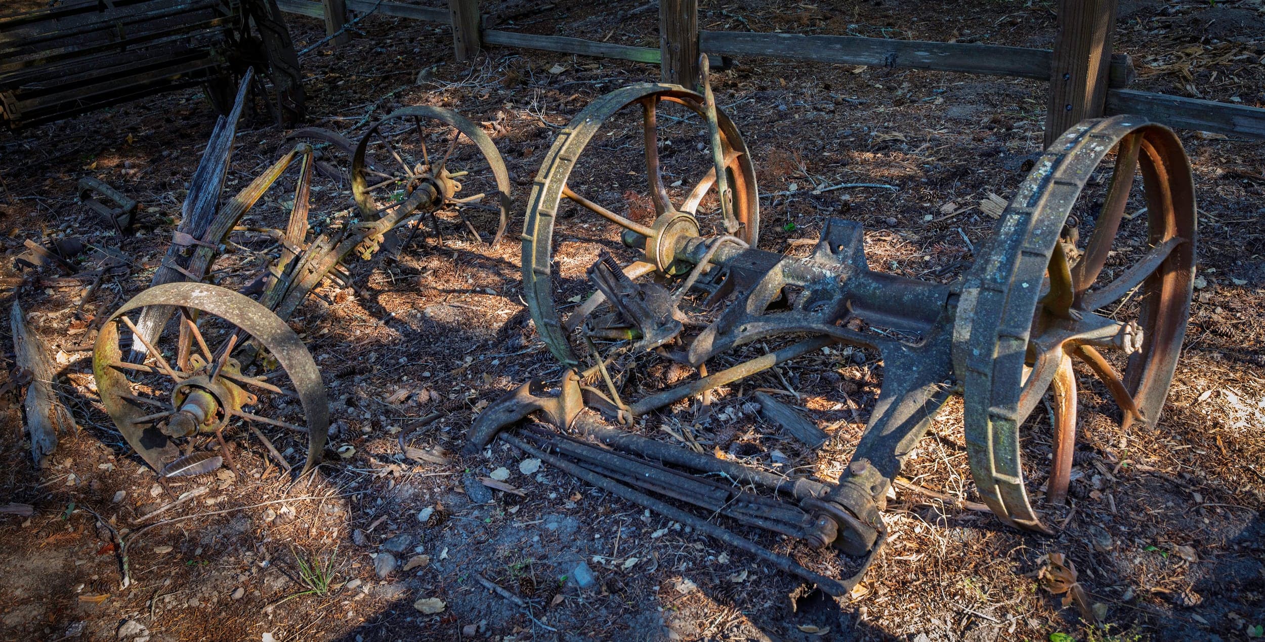Storytelling photograph 335