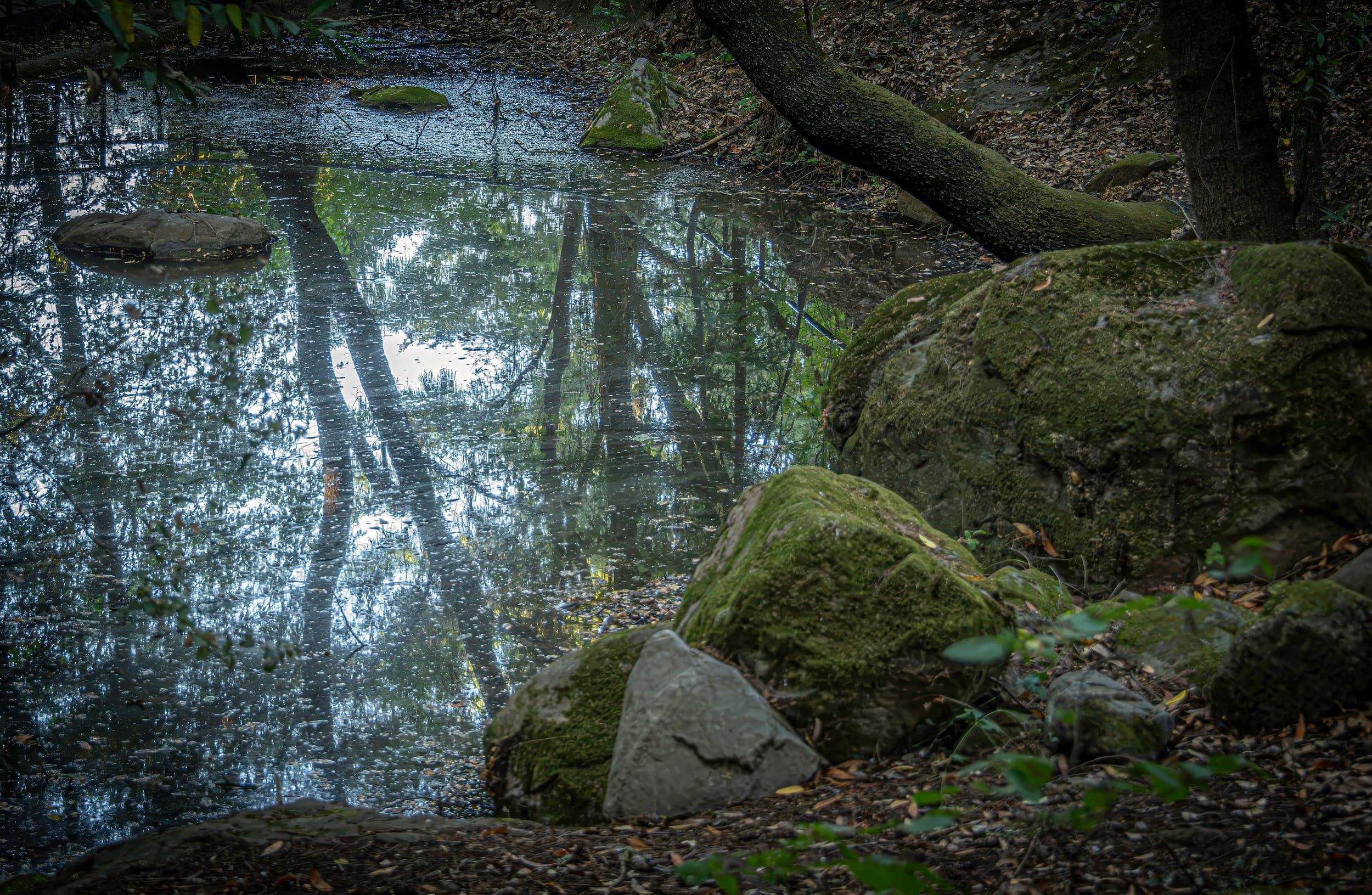 Surrealism photograph 721