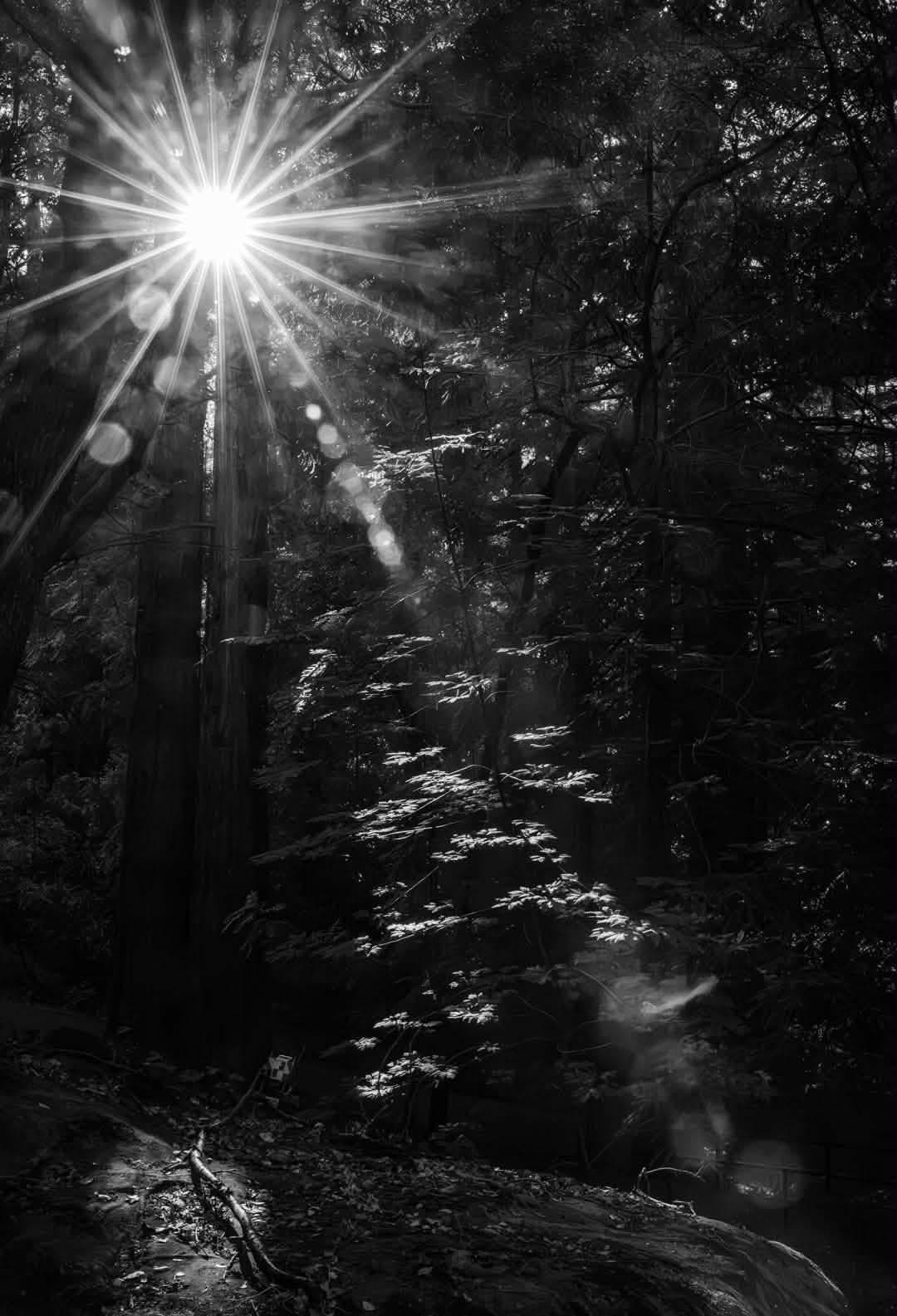 Surrealism photograph 287