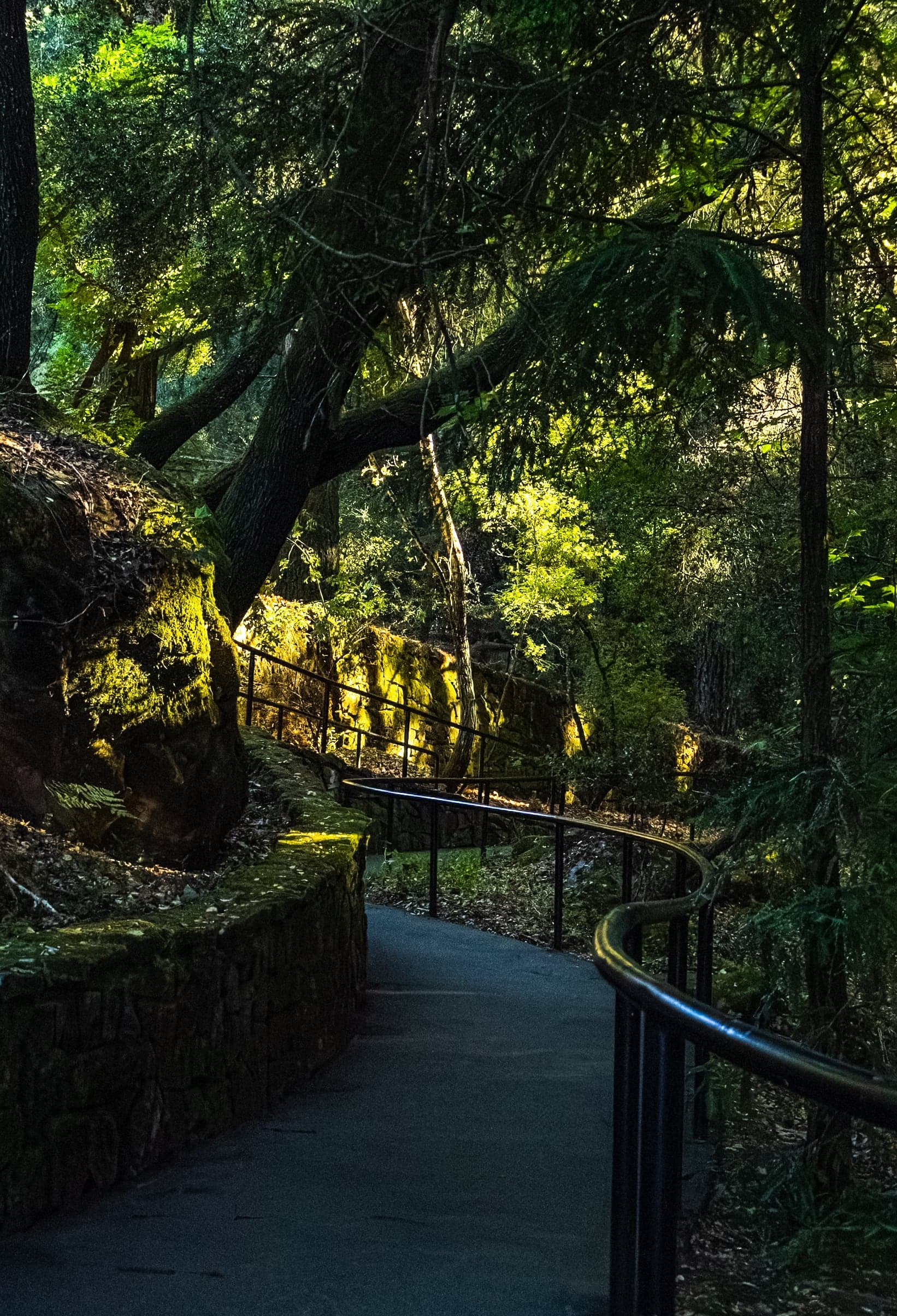 Leading Lines photograph 790